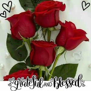 Meet your Posher, Roseberry